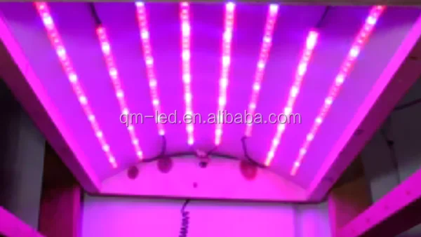 Led Isikli Bitki Yetistirme Kabini Nasil Yapilir Cevreci Bahcem