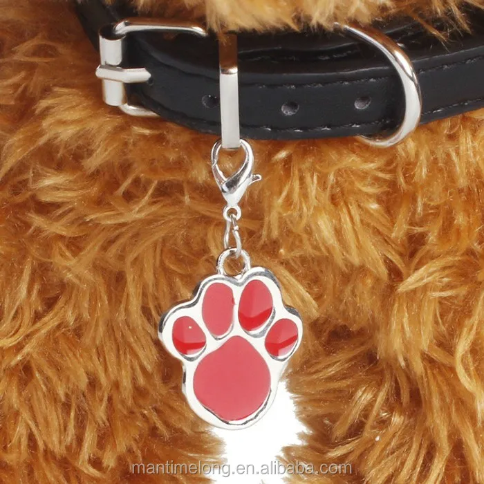 dog identity collar