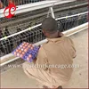 Factory layer and broiler feeding project used poultry farm equipment for sale