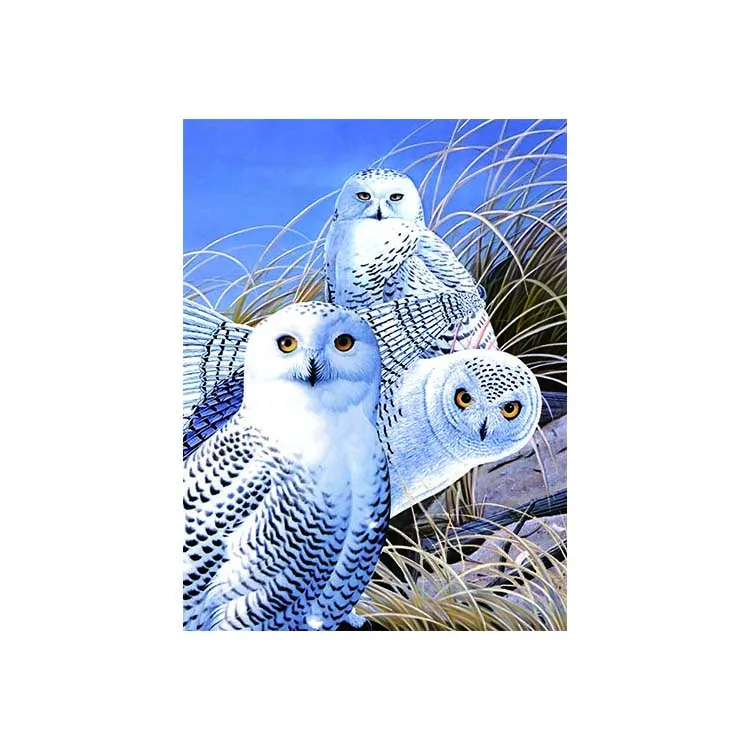 3 Dimension 3D Lenticular Picture Arctic White Snowy Owl Forest Lake Wildlife 