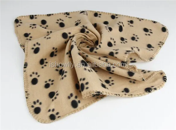 62+ Gambar Hewan Kucing Kutub Gratis Terbaik