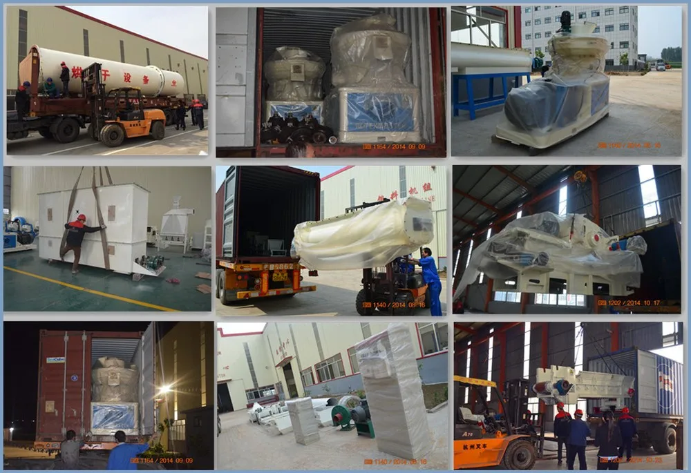 600 KG/H Capacity Easy To Operation Popular Flat Die Wood Pellet Making Machine
