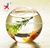 Desk&Table Decoration Small Ball Glass Fish Pot