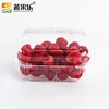 Clear Disposable Cheap Packaging PET Plastic Food Fruit Tray,strawberry punnets
