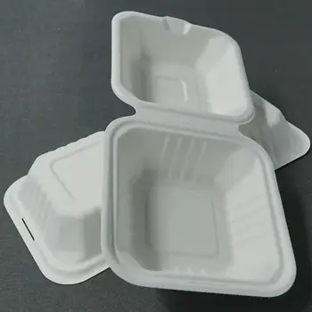 Cellulose Pulp Food Box Disposable Ecological Tableware Takeout Food ...