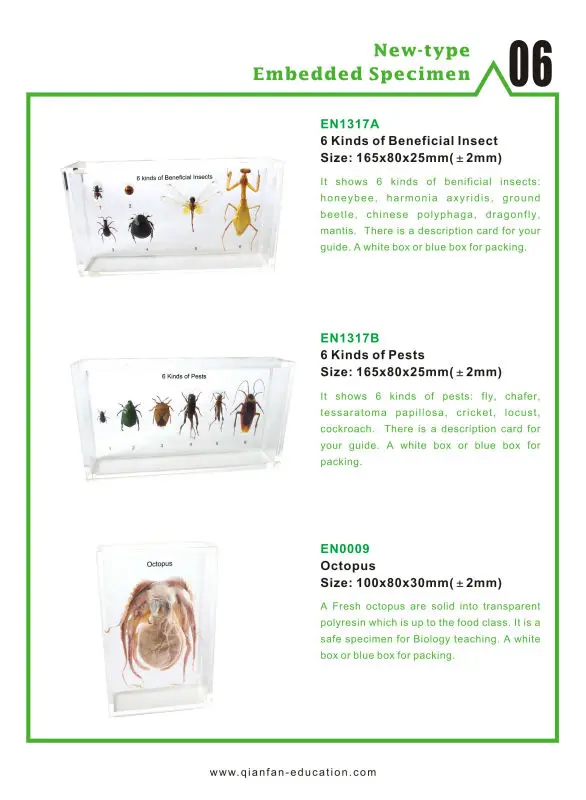 Real Octopus in Acrylic Block Paperweights Science Classroom Specimens Aquatic Creatures Specimensfor Science Education