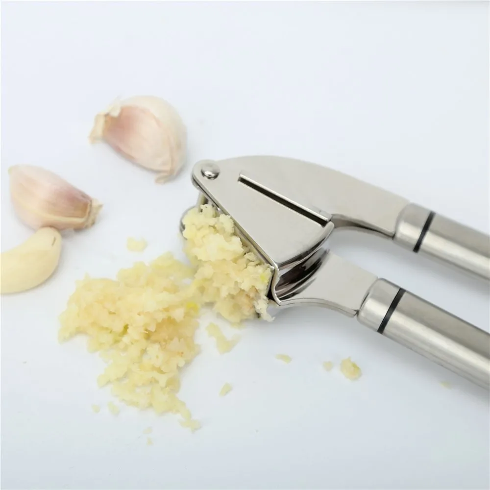 Stainless Steel Ginger Smasher Garlic Press Crusher And Mincer Best