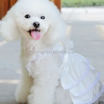 Exclusive Get A First Look At Toast The Dog S Marchesa Wedding Dress Martha Stewart