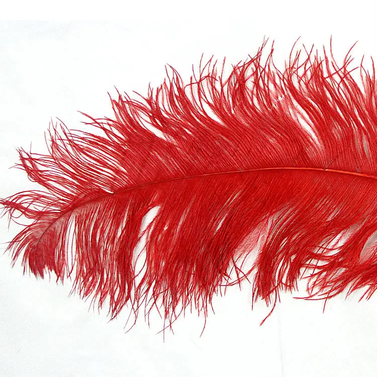 Wholesale Red Ostrich Feathers Large Decorative Feather - Buy Ostrich ...