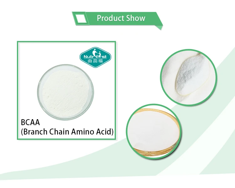 Nutrifirst Manufacturer Supply Supplement Powder Nutrition Water Protein Amino Acid Bcaa Powder