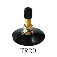 tr29.png