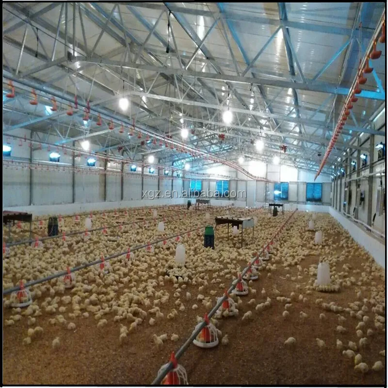 High Quality low cost structural steel Poultry Farm/Poultry House/Chicken House and Equipment
