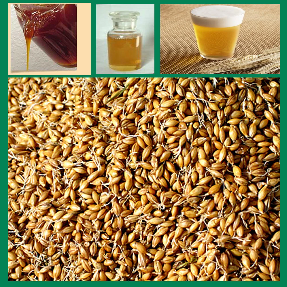 Food Grade Bulk Malt Extract For Baking And Beverage Buy Malt Extract