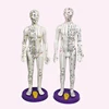 High-definition lettering human meridian acupoint model human body model