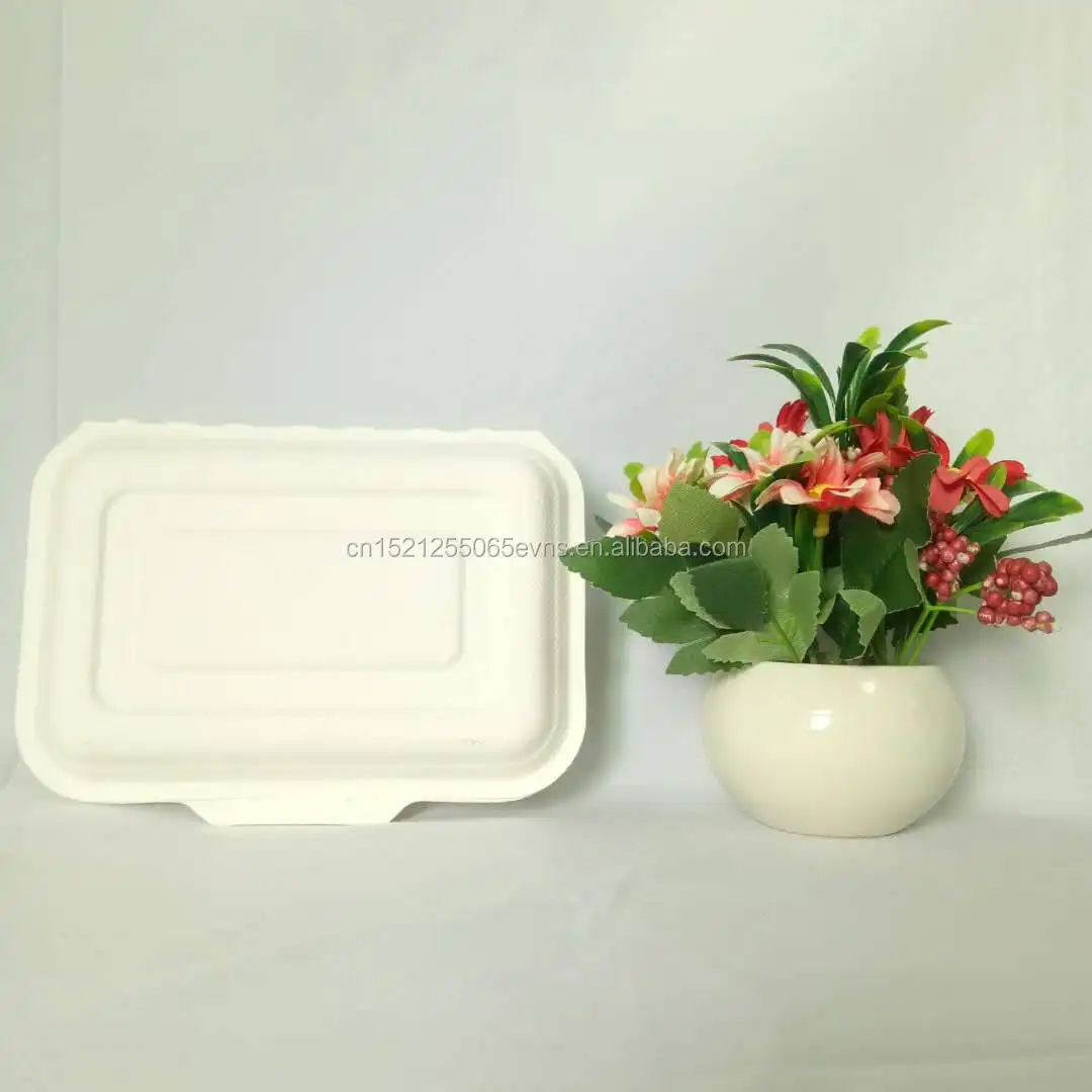 2 Compartment portable disposable paper pulp bento takeout box 1000ml fast food Lunch box