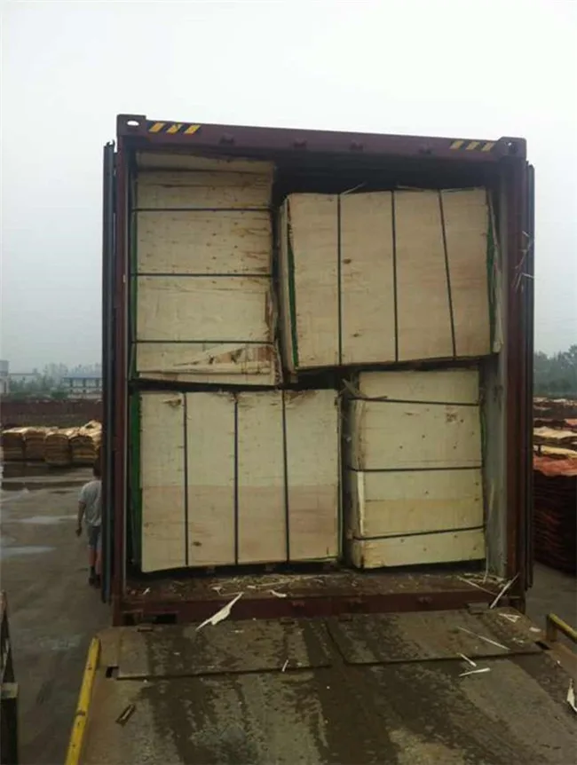 engineered gurjan wood face veneer wardrobe door design