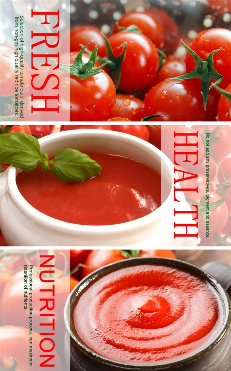 Halal Tomato Paste Ketchup