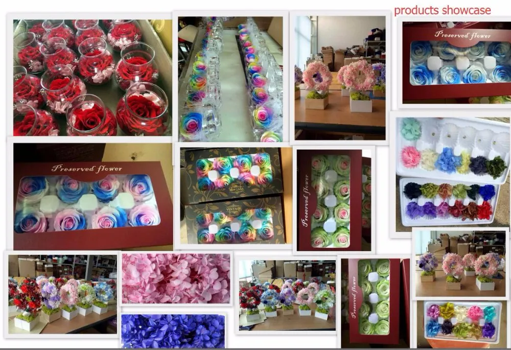 67cm Wide Red Fresh Preserved Rose Flower With Wholesale Price Buy