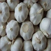 /product-detail/2018-new-crop-factory-supplier-normal-white-and-pure-white-garlic-for-indonesia-malaysia-thailand-from-china-factory-60837714991.html