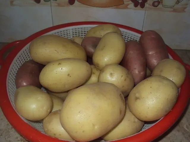 Potato 33