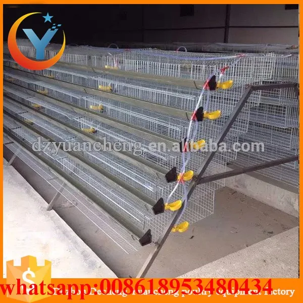 Galvanized Htype Layer Quail Cages With Accessories For Sale Buy H