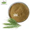 High Quality Horsetail Extract 7% silicon with free sample