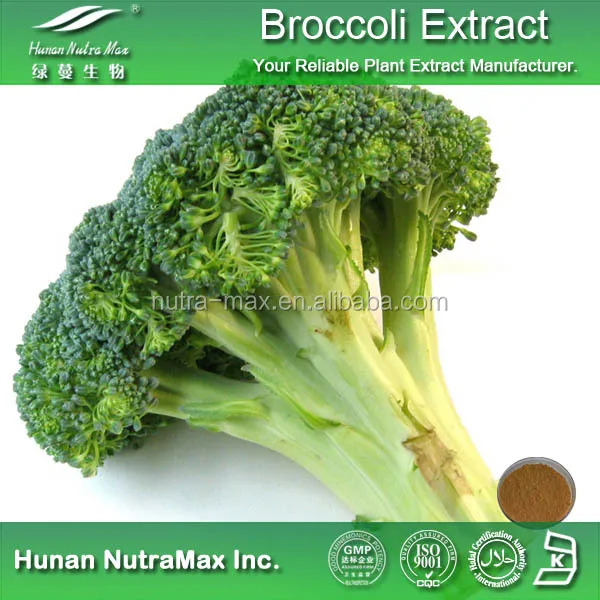 100 Pure Spray Dried & Freezedried Broccoli Sprout Powder Buy