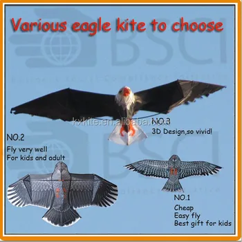 difference between eagle and kite bird