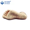 Teaching aid White 15CM lifesize foot joint acupuncture model