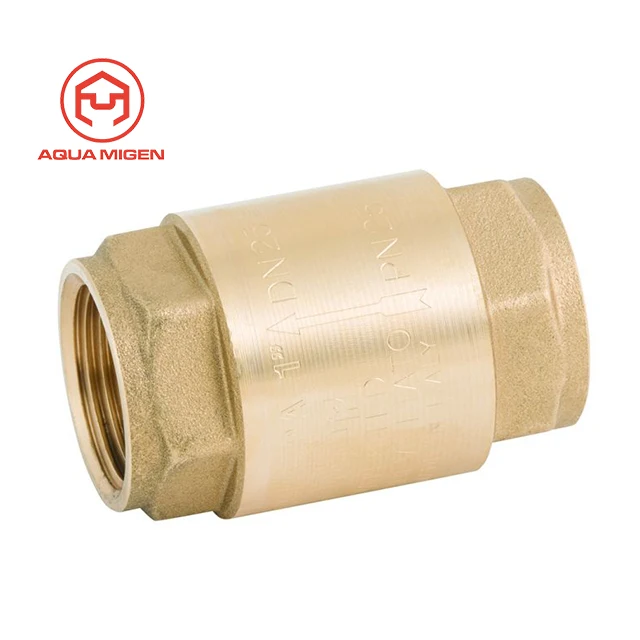 Spring Check Valve.jpg