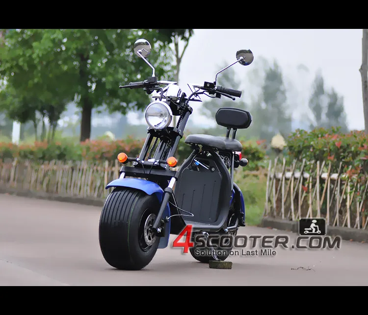 Free Tax Electric Scooter Wide Tire Electric Bike 1000w Car Vehicle