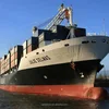 List of manpower recruitment shipping agent from China ports to Karachi/Lahore/Faisalabad, Pakistan