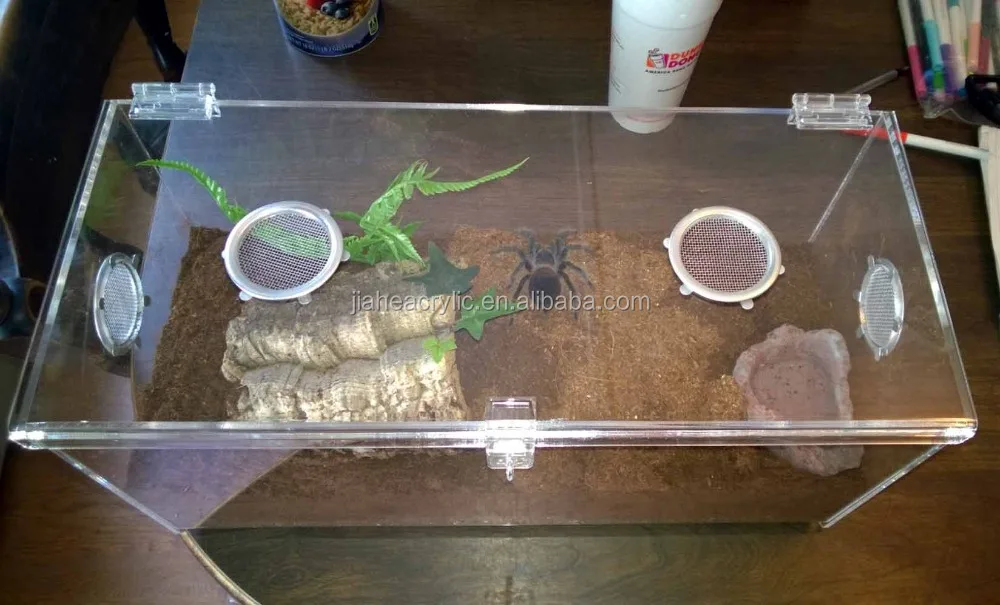 New Products 100% Handmade Reptile Carrier Clear Acrylic Reptile ...