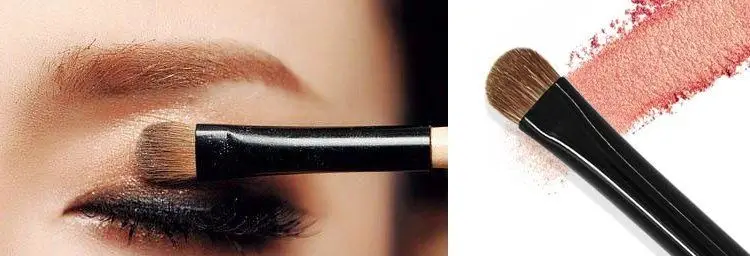 eyeshadow brush1.6.jpg