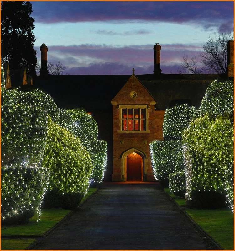 yellow light clear led bottle light with net rope