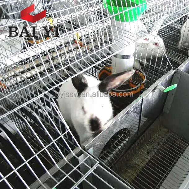 rabbit supplies wholesale