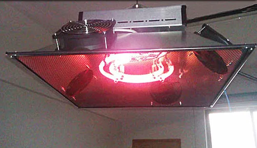warming lights (2)