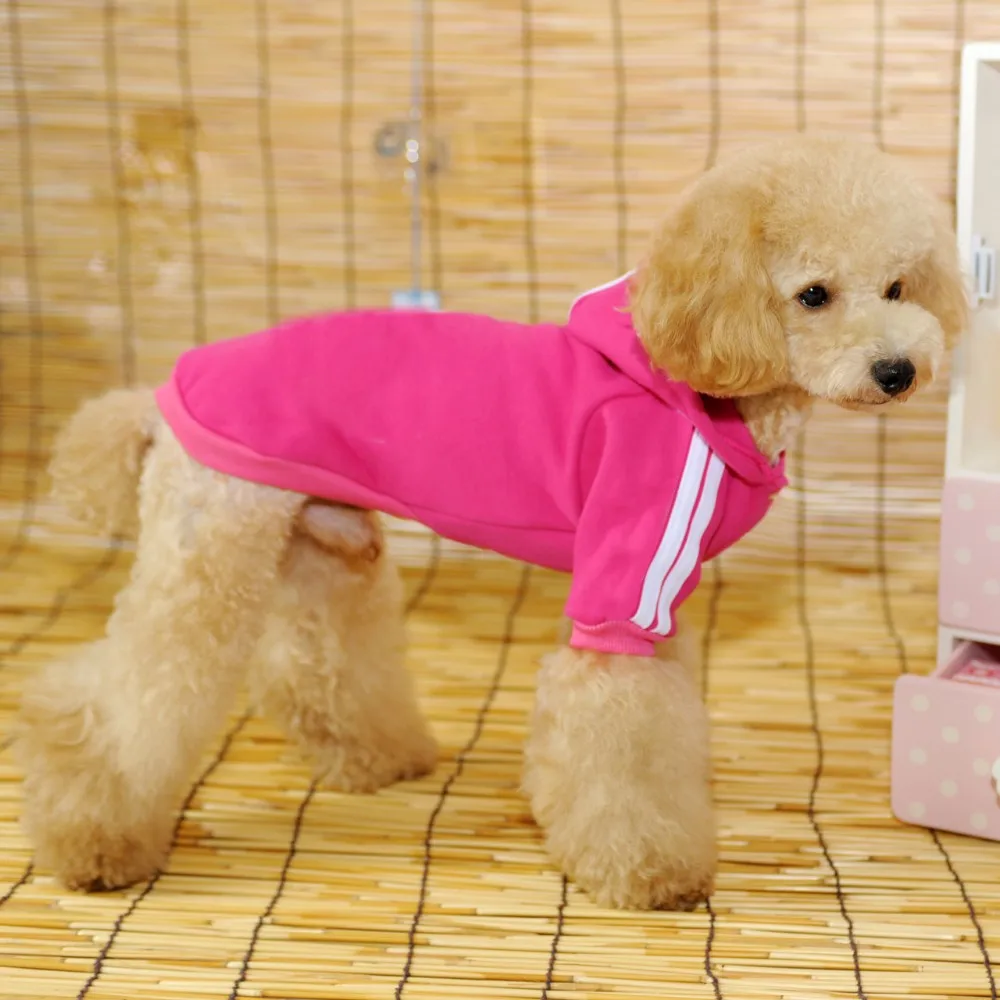 where to buy cheap dog sweaters