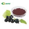 High quality natural Black Current extract
