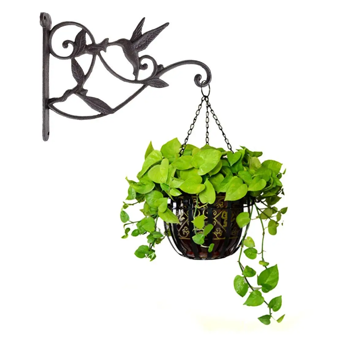 Outdoor Wall Flower Pots Find Outdoor Wall Flower Pots Find