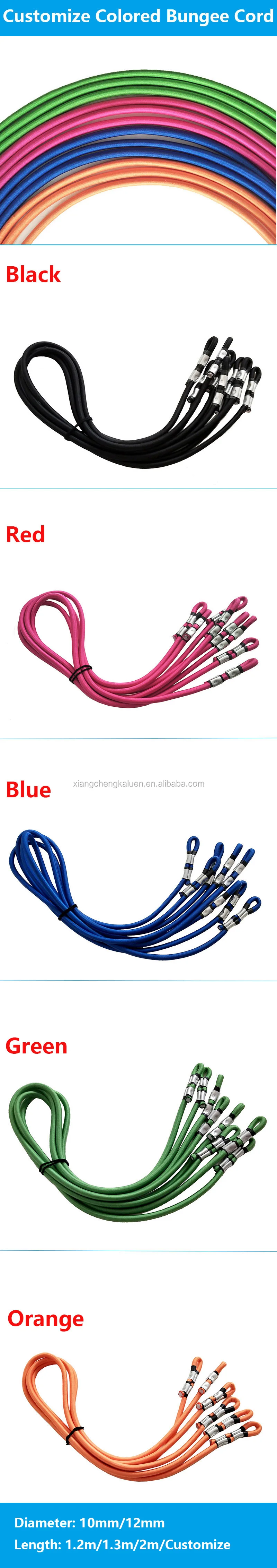 bungee harness.jpg
