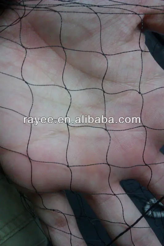 Mist Net .jpg
