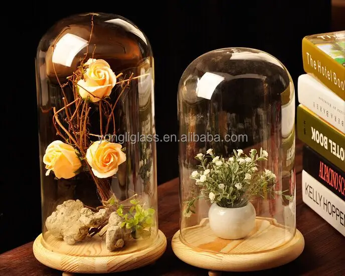 Hot sale micro landscape glass cover with wooden base for home decoration, elegent glass dome, fancy glass gifts