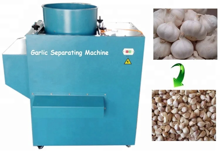 OC-1000 1000kg/h Factory Supply Automatic Garlic Separator Separating ...