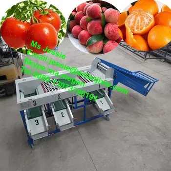 3 6 Kelas Buah Jeruk Menyortir Mesin Untuk Buah Mengklasifikasikan Buy Buah Jeruk Mesin Sortasi Tomat Mesin Sortasi Mangga Mesin Sortasi Product On