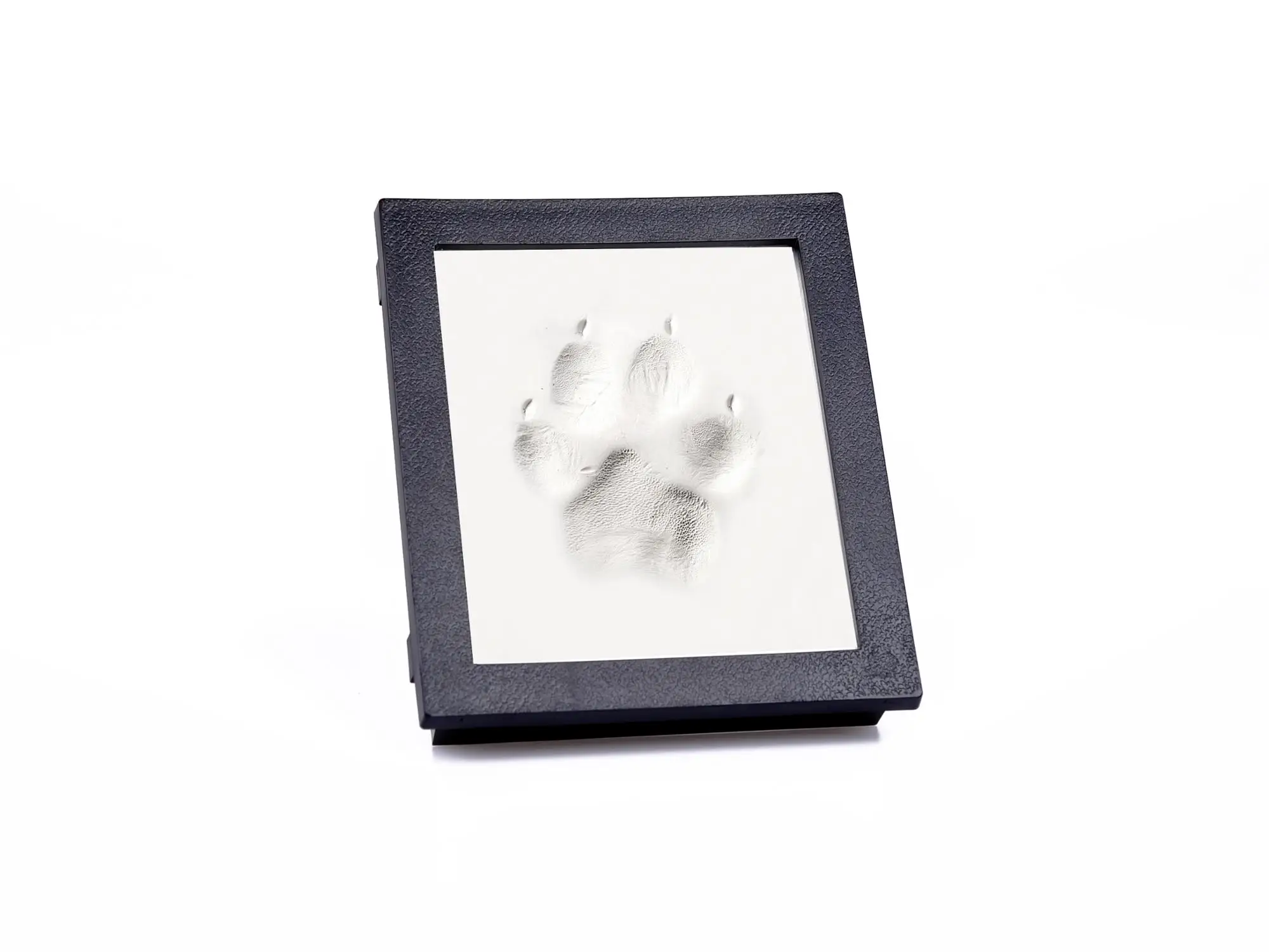 Dog Or Cat Footprint Clay Paw Print Pet Keepsake Photo Frame With ...