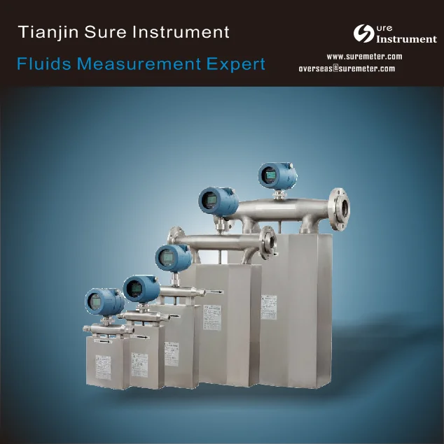 Mass flow meter 5