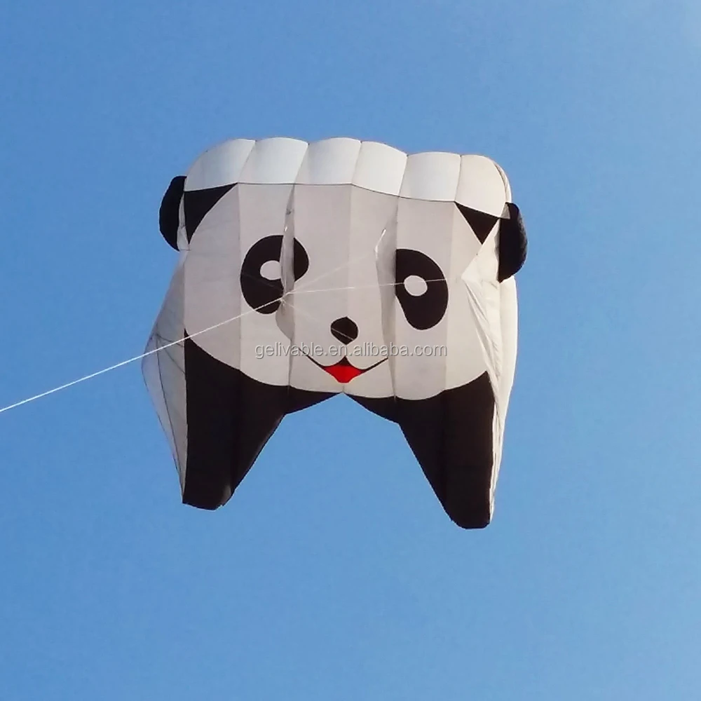 pilot kite.jpg