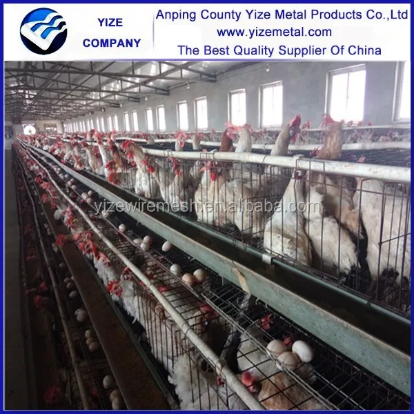 Commercial Chicken House chicken layer house, chicken layer house suppliers and Commercial Chicken House chicken layer house, chicken layer house suppliers and