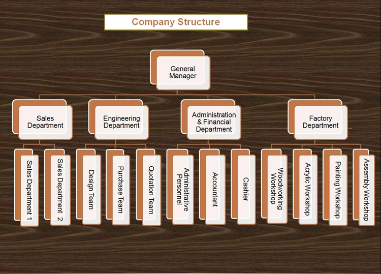 Company Structure.jpg